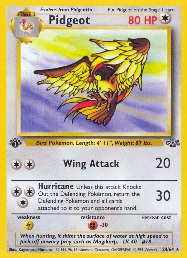 Pidgeot Jungle card
