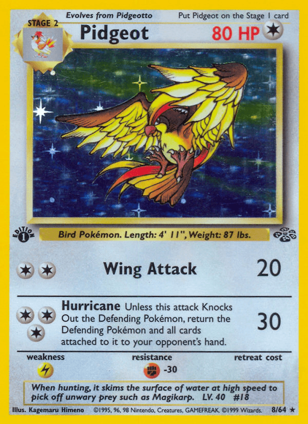 Pidgeot Jungle card