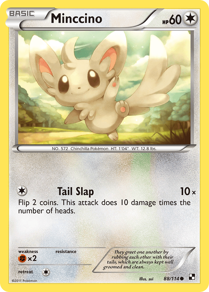 Minccino Black & White card