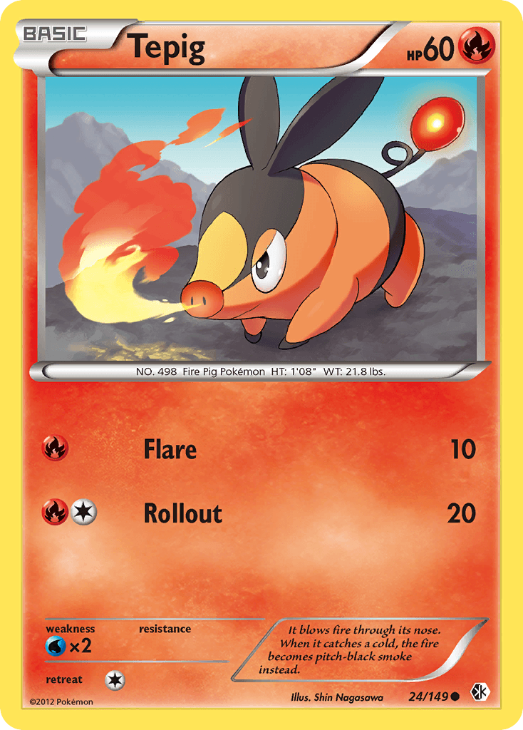 Tepig Boundaries Crossed card