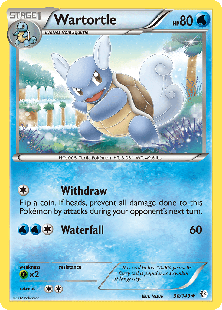 Wartortle Boundaries Crossed card