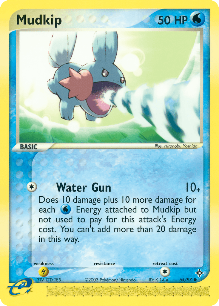 Mudkip Dragon card