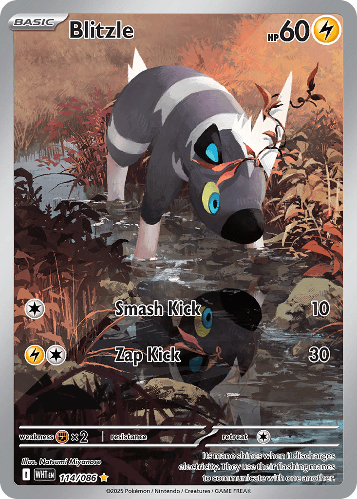 Blitzle 寶可夢 card