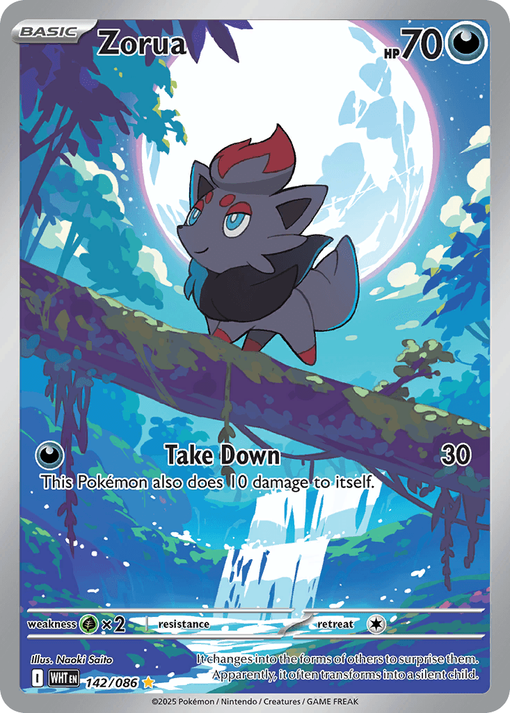 Zorua 寶可夢 card