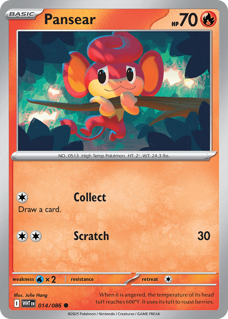 Pansear 寶可夢 card