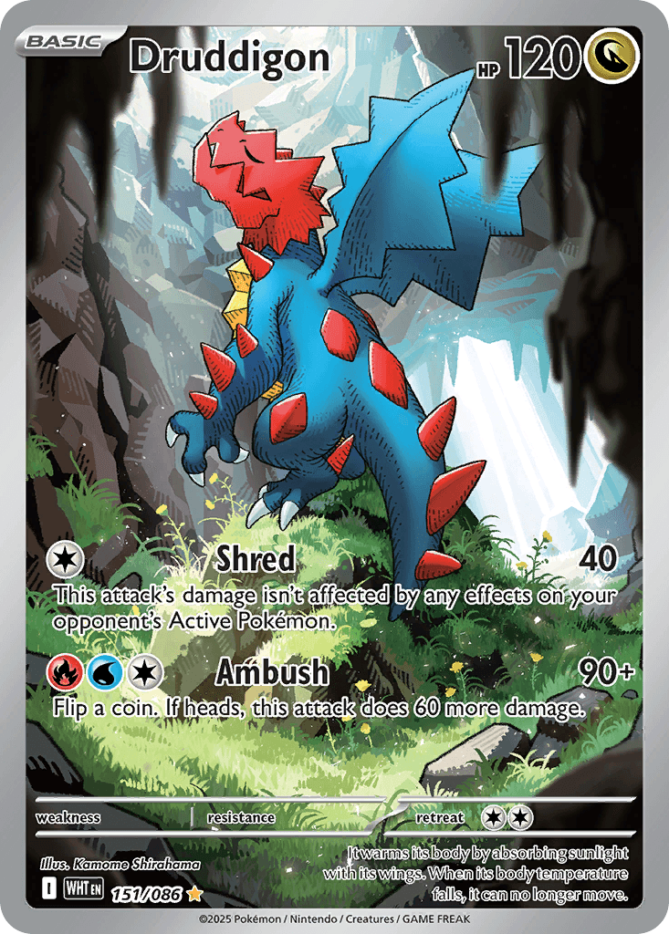 Druddigon 寶可夢 card
