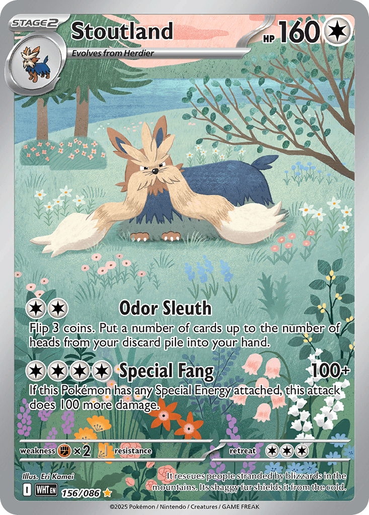 Stoutland White Flare card