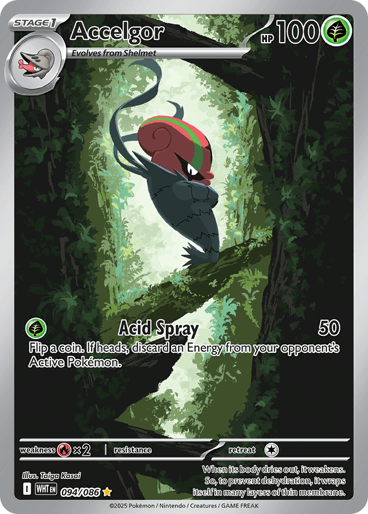 Accelgor 寶可夢 card