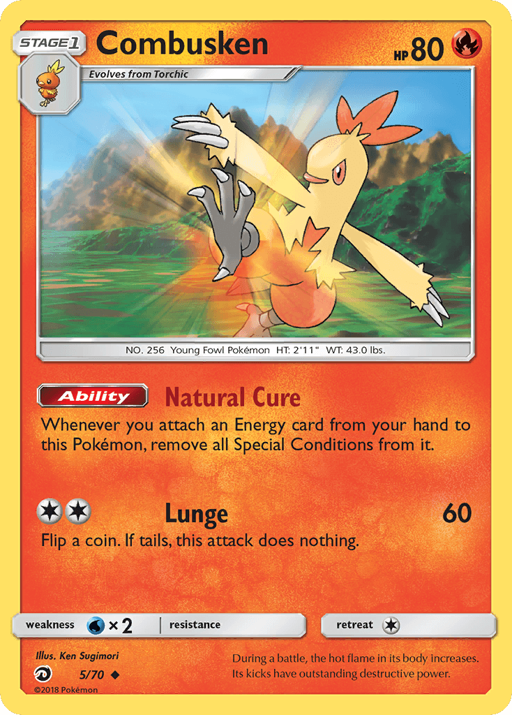 Combusken 寶可夢 card