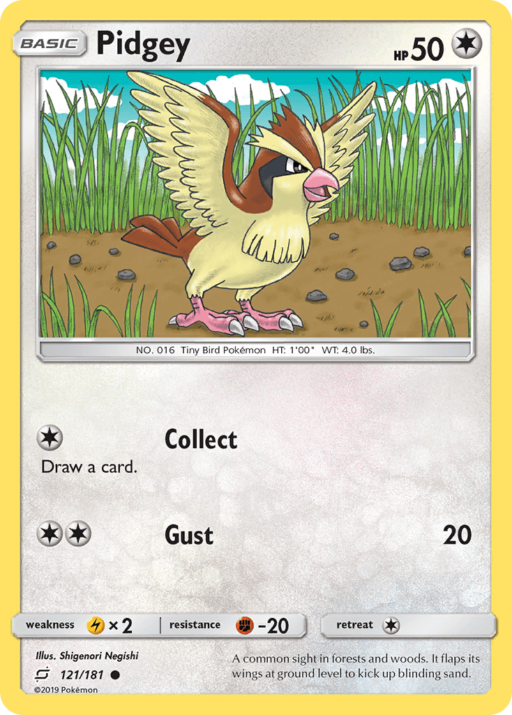 Pidgey 寶可夢 card