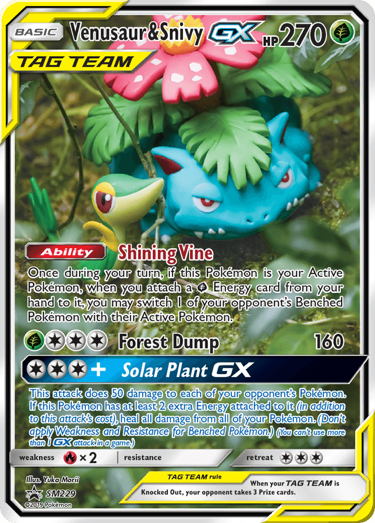 Venusaur & Snivy-GX SM Black Star Promos card