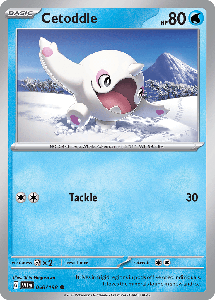 Cetoddle Scarlet & Violet card