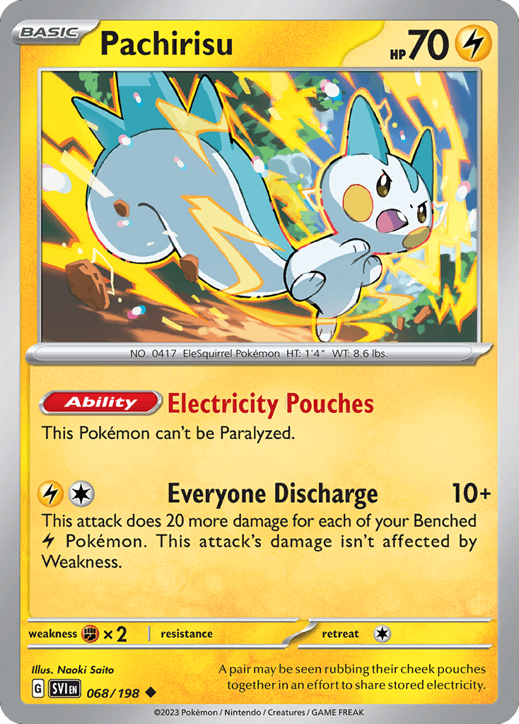Pachirisu 寶可夢 card