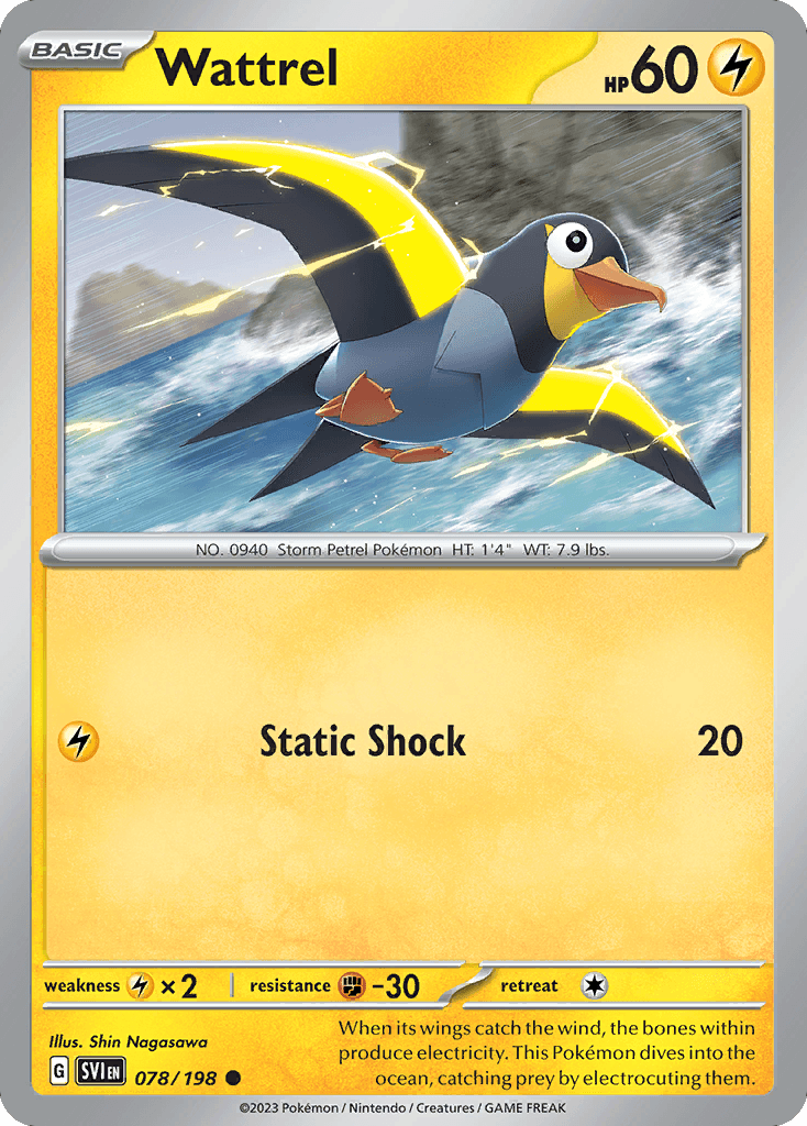 Wattrel Scarlet & Violet card