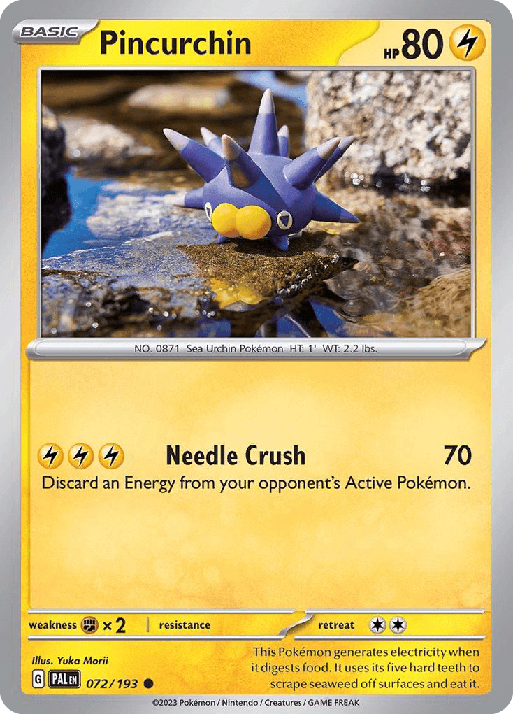 Pincurchin Paldea Evolved card