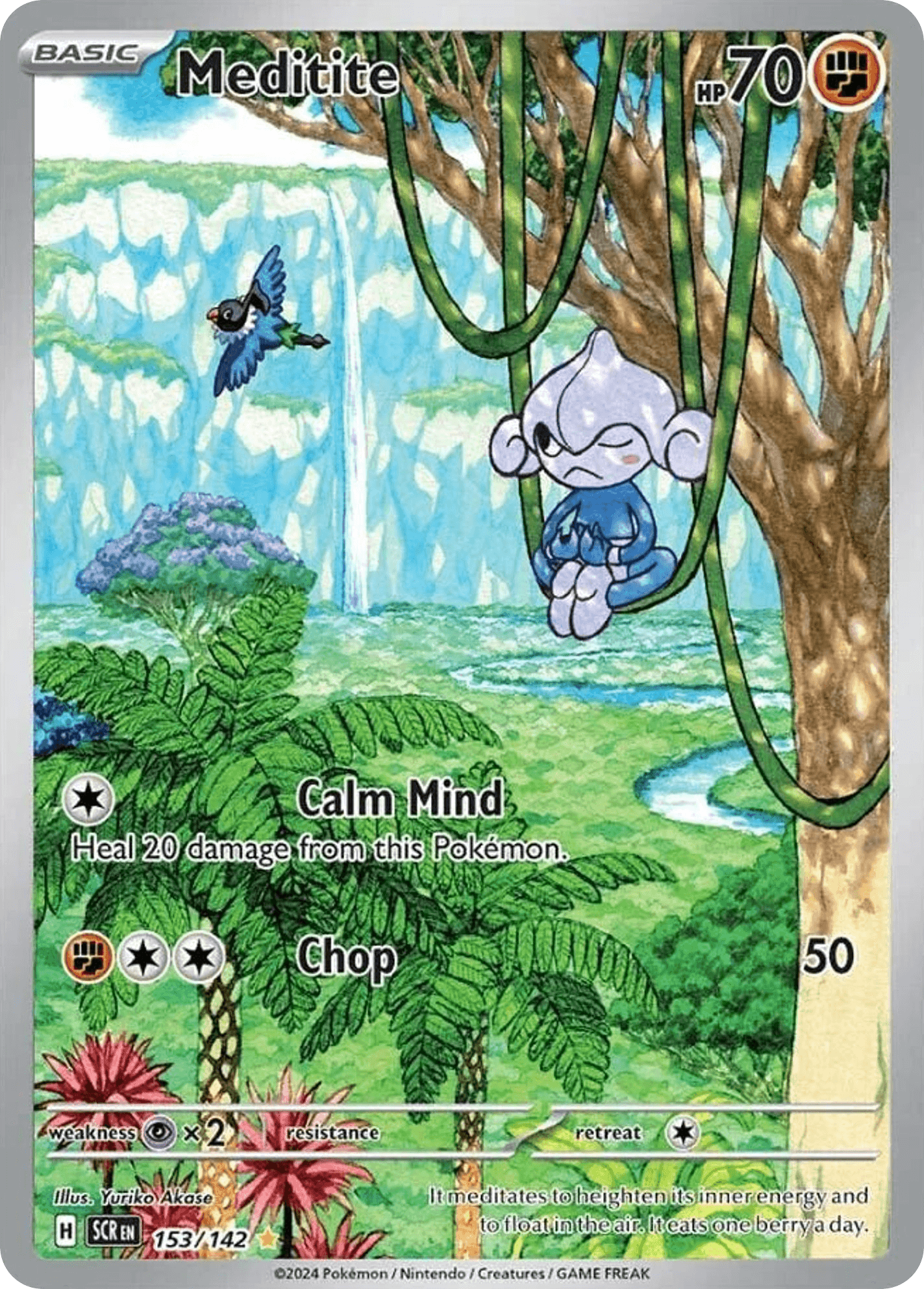 Meditite 寶可夢 card