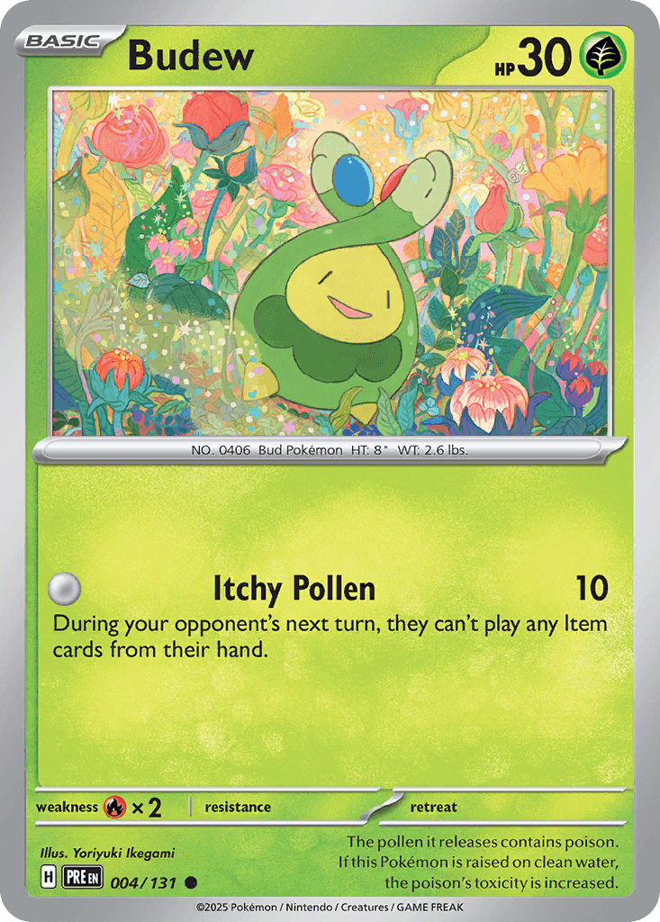Budew 寶可夢 card