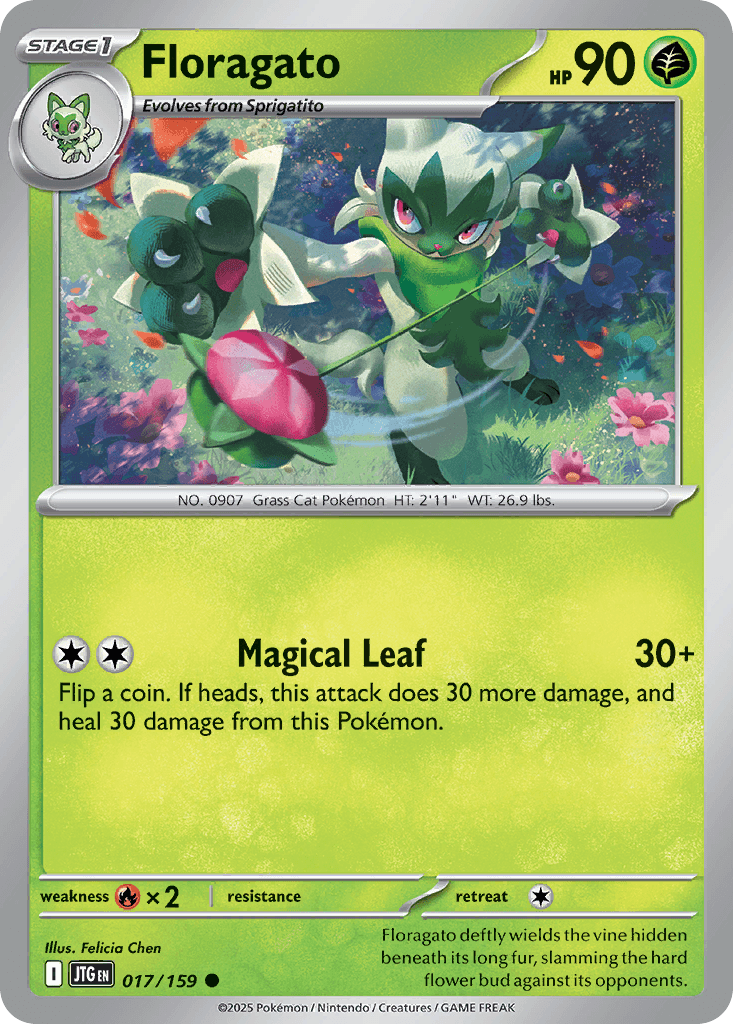 Floragato Journey Together card