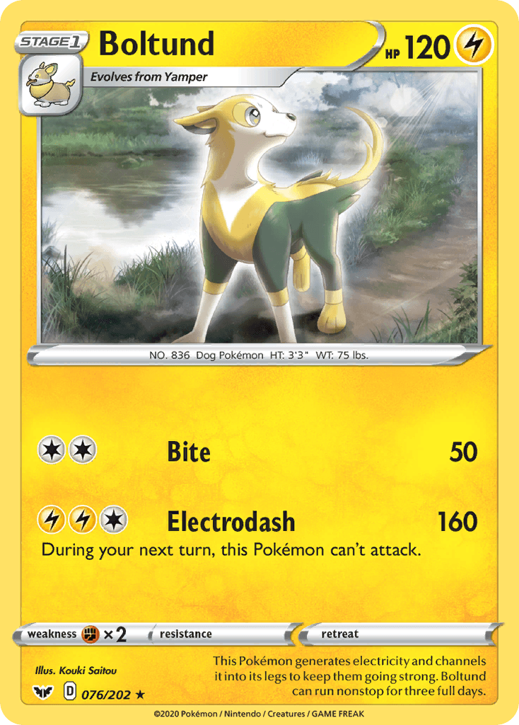 Boltund 寶可夢 card