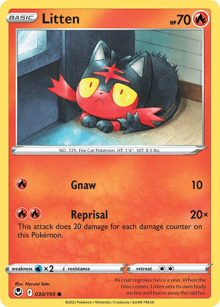 Litten 寶可夢 card