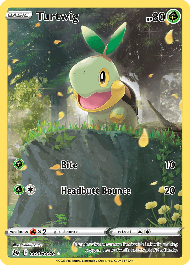 Turtwig 宝可梦 card