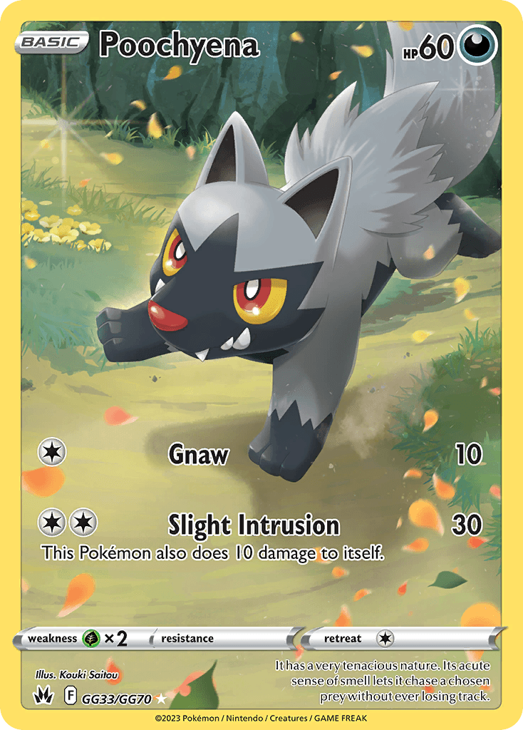 Poochyena 寶可夢 card