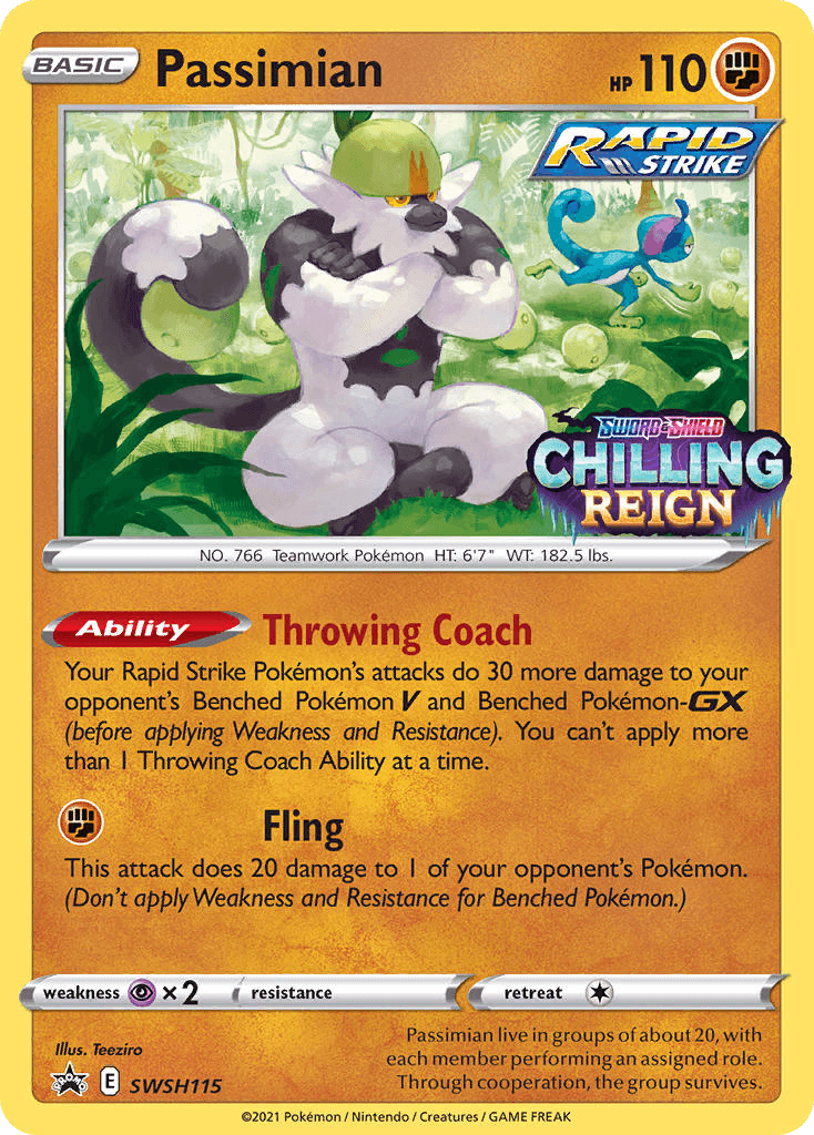 Passimian SWSH Black Star Promos card
