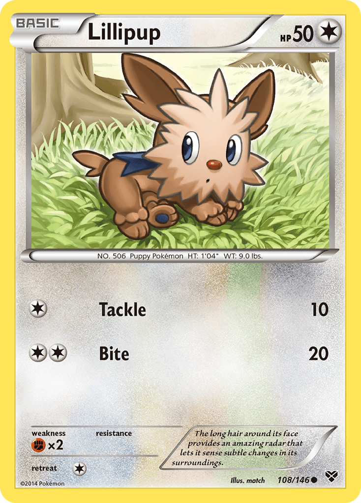 Lillipup XY card