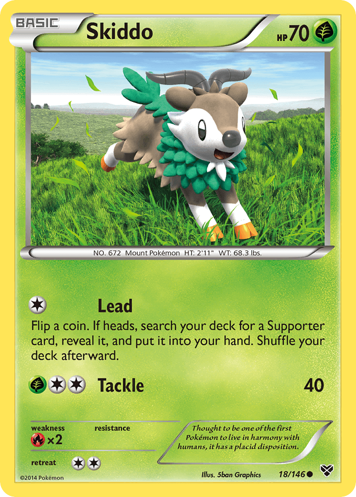 Skiddo XY card