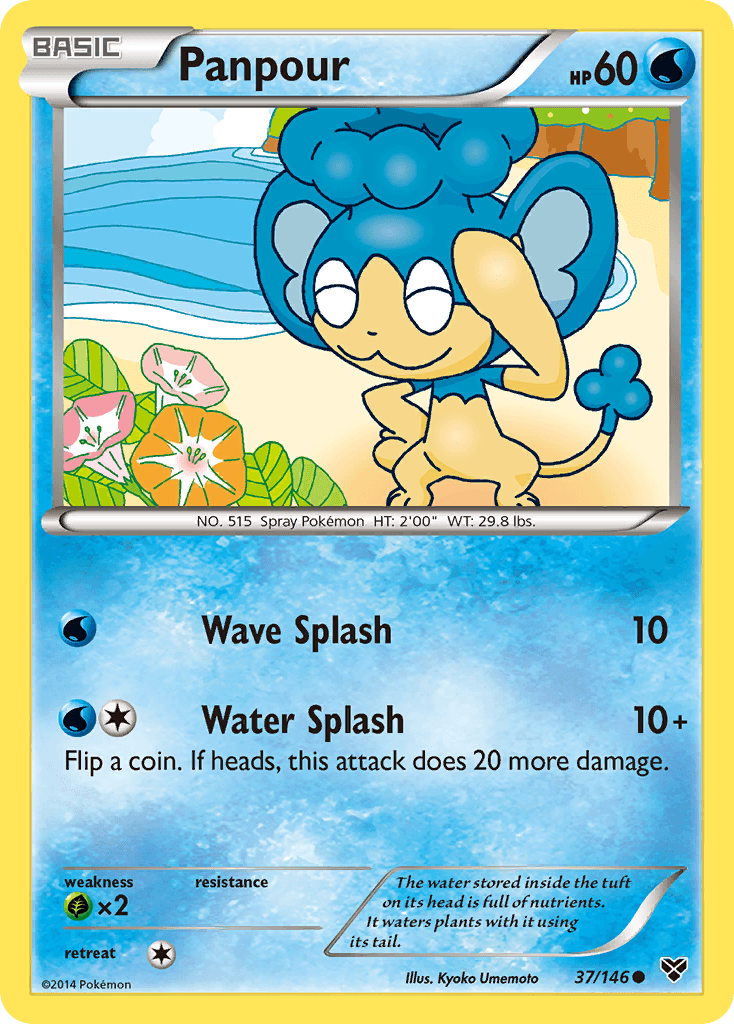Panpour XY card