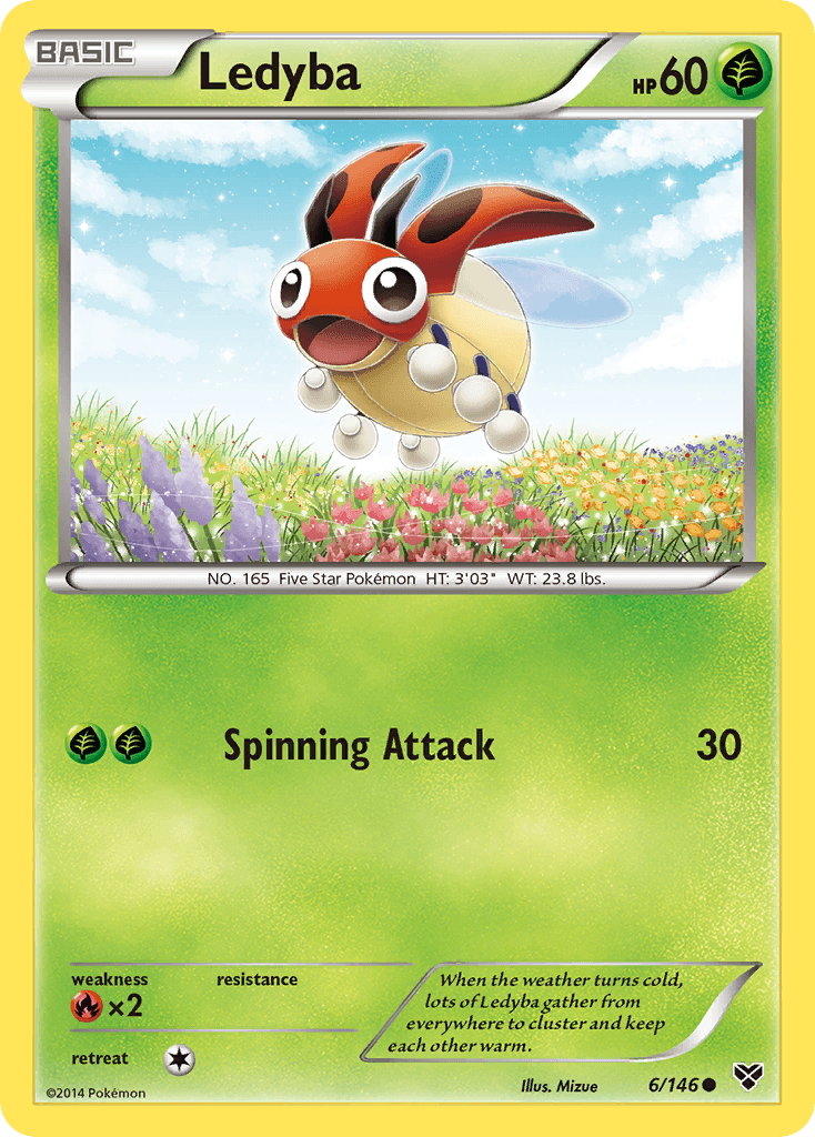 Ledyba XY card