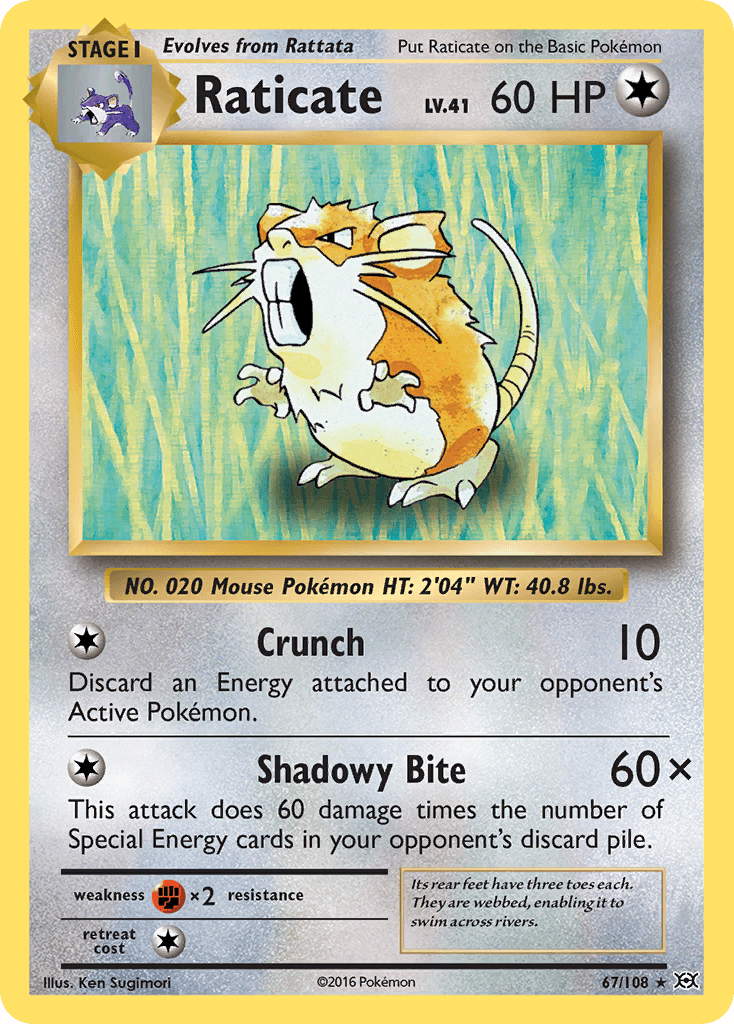 Raticate 寶可夢 card