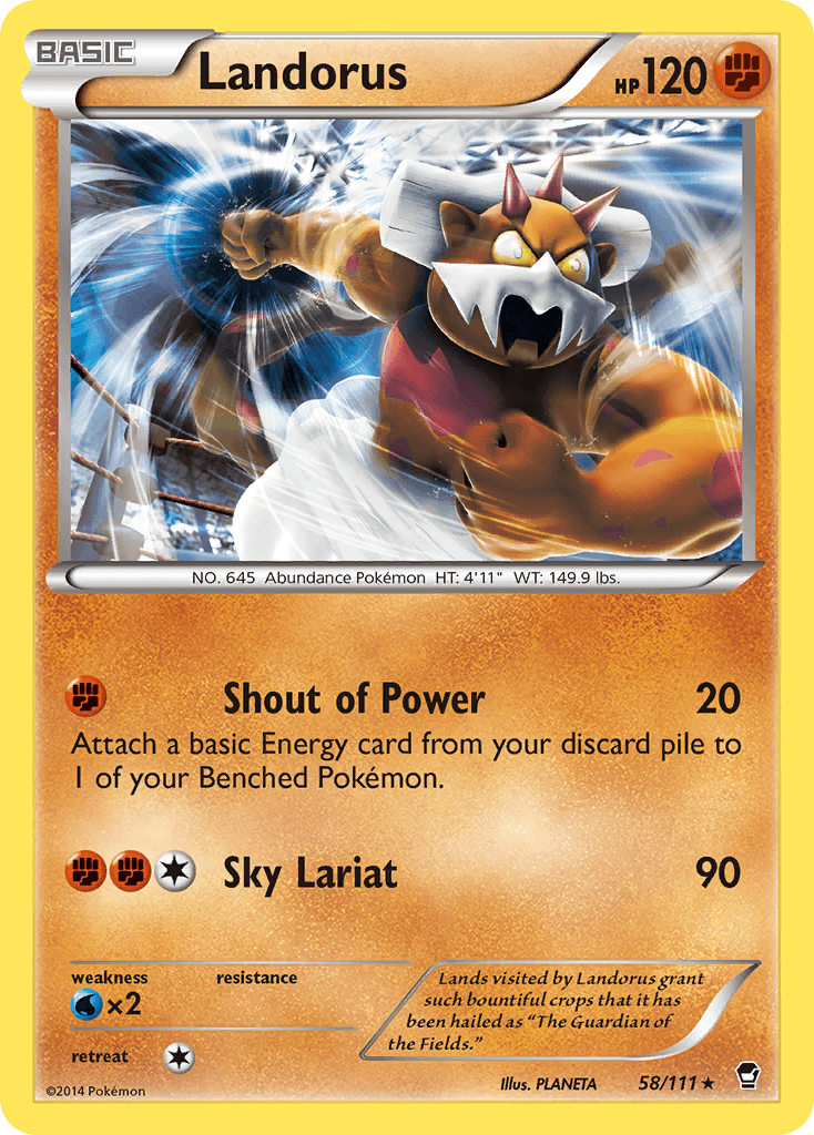 Landorus Furious Fists card