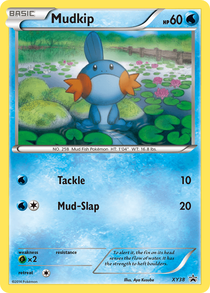 Mudkip XY Black Star Promos card