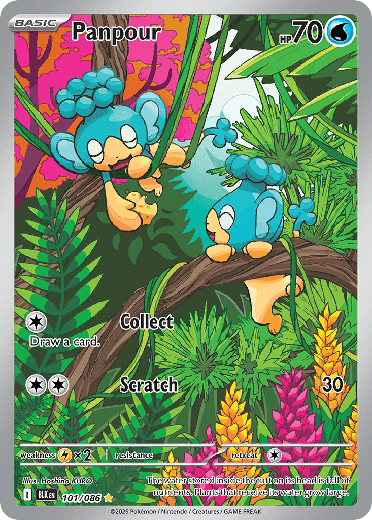 Panpour 寶可夢 card