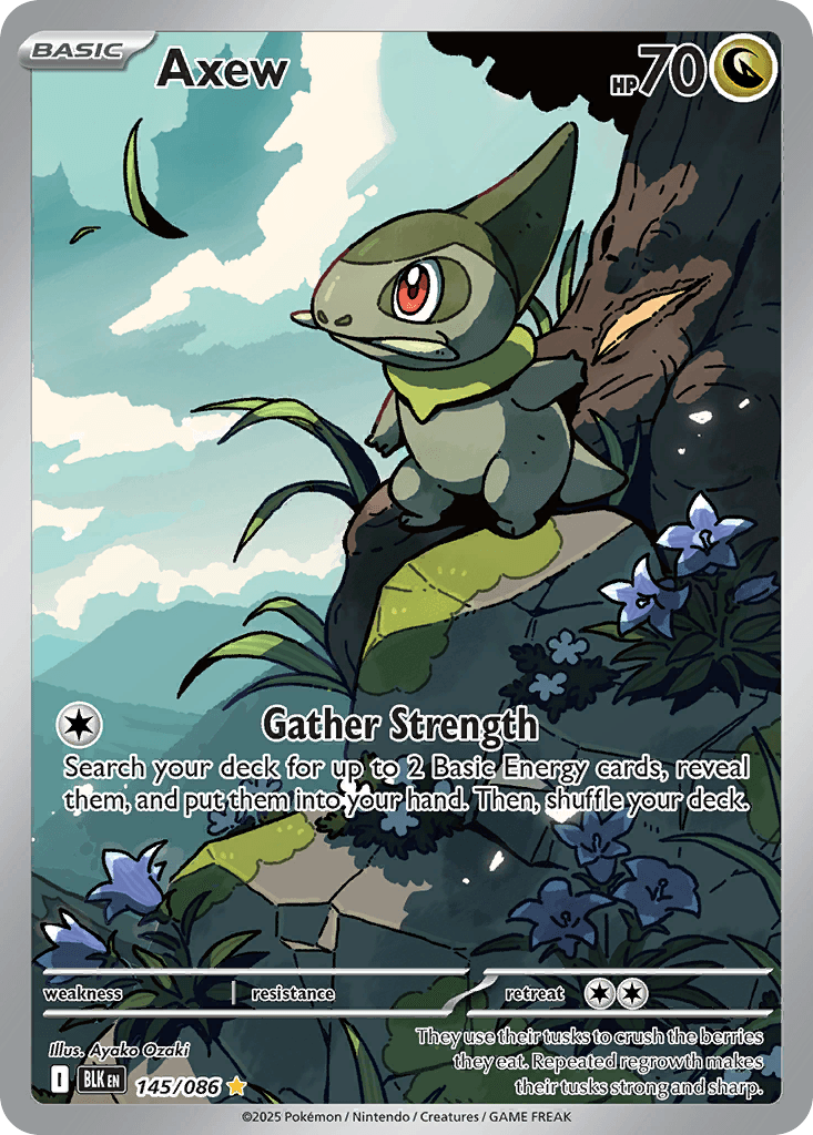 Axew 寶可夢 card