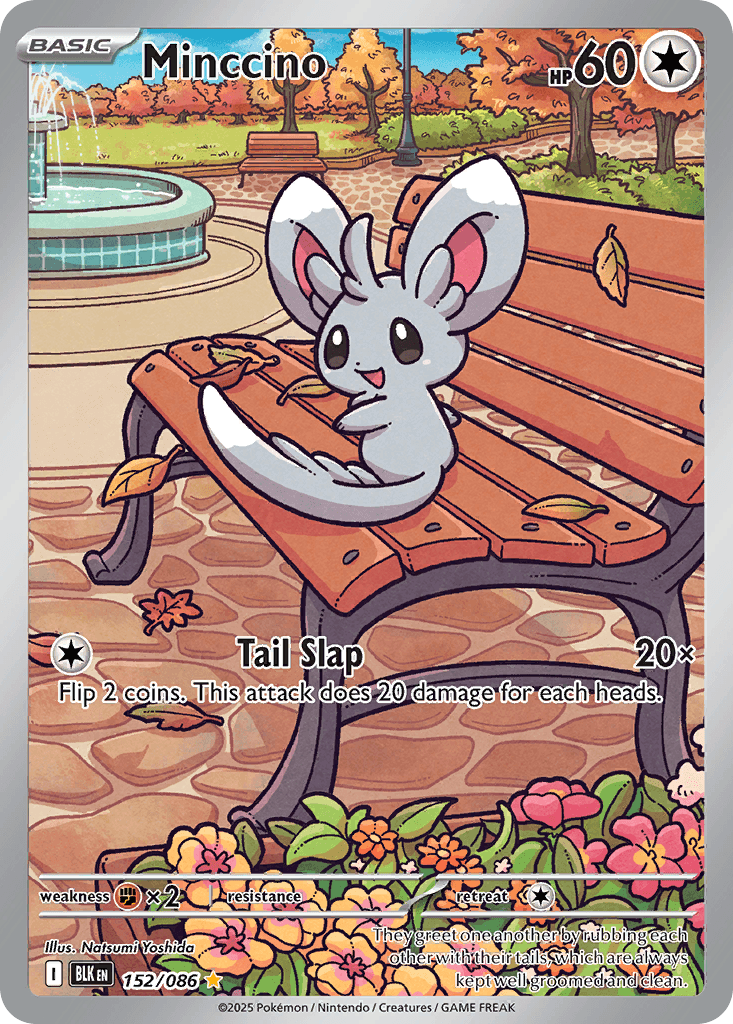 Minccino Black Bolt card