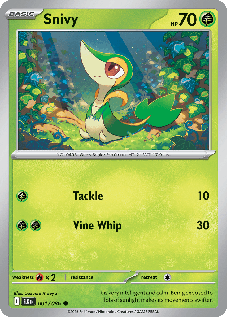 Snivy 寶可夢 card