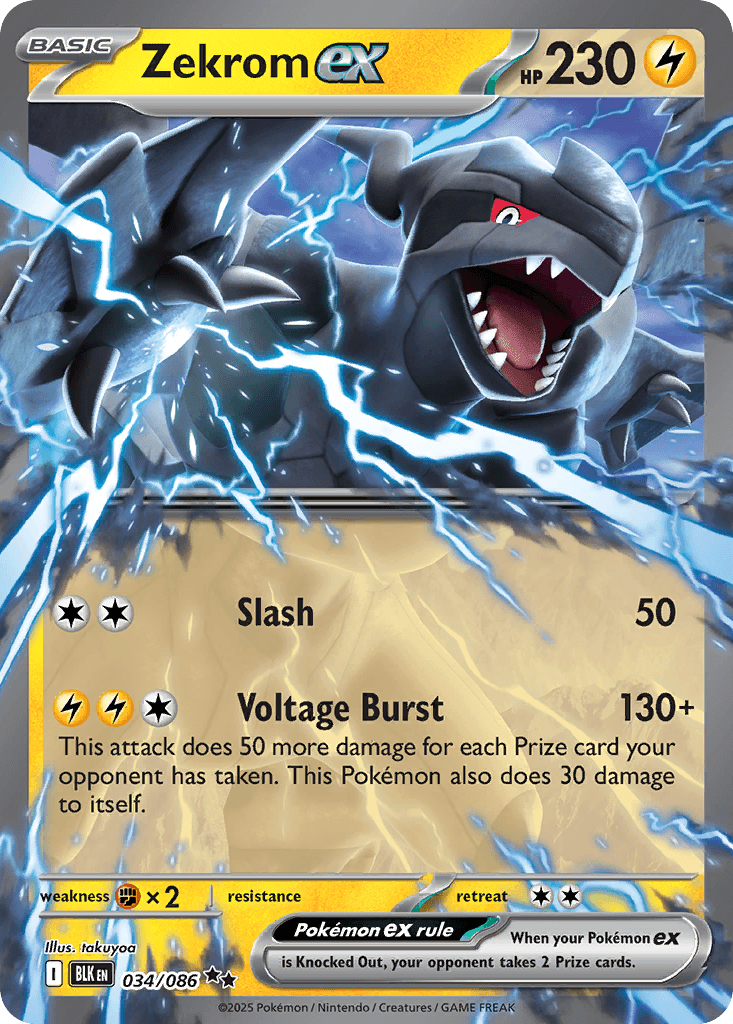 Zekrom ex 寶可夢 card