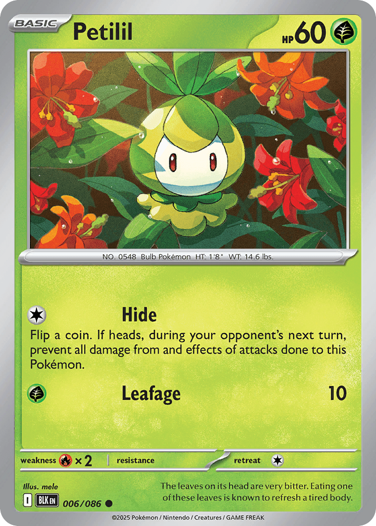 Petilil 寶可夢 card
