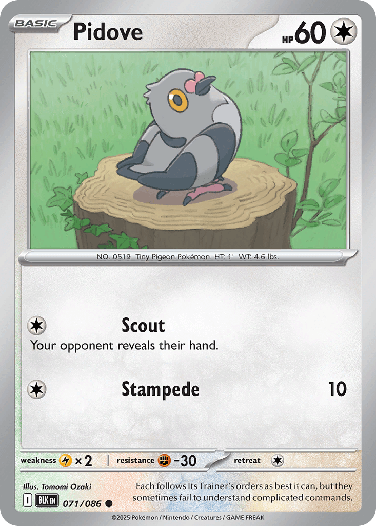 Pidove 寶可夢 card