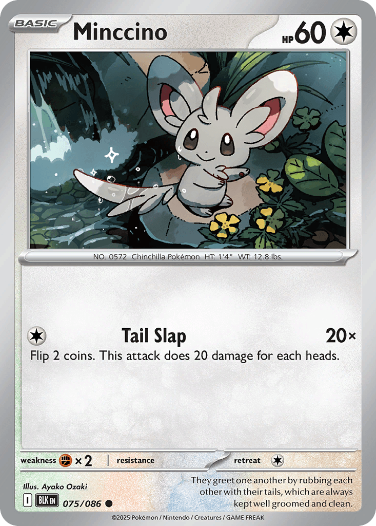 Minccino 寶可夢 card