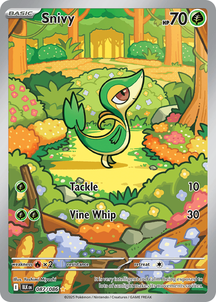 Snivy 寶可夢 card