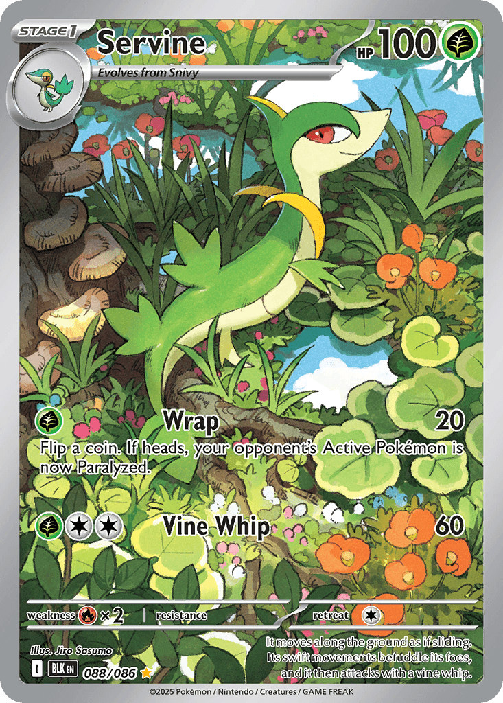 Servine 寶可夢 card