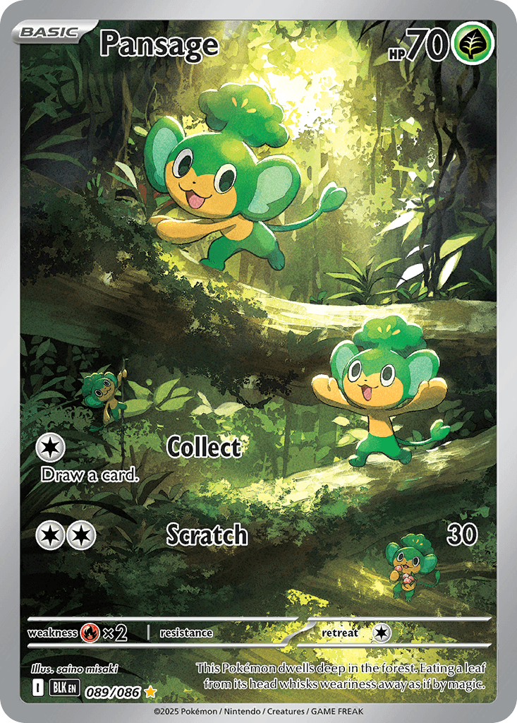 Pansage 寶可夢 card
