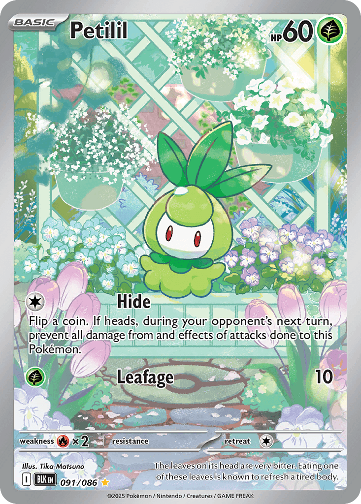 Petilil 寶可夢 card