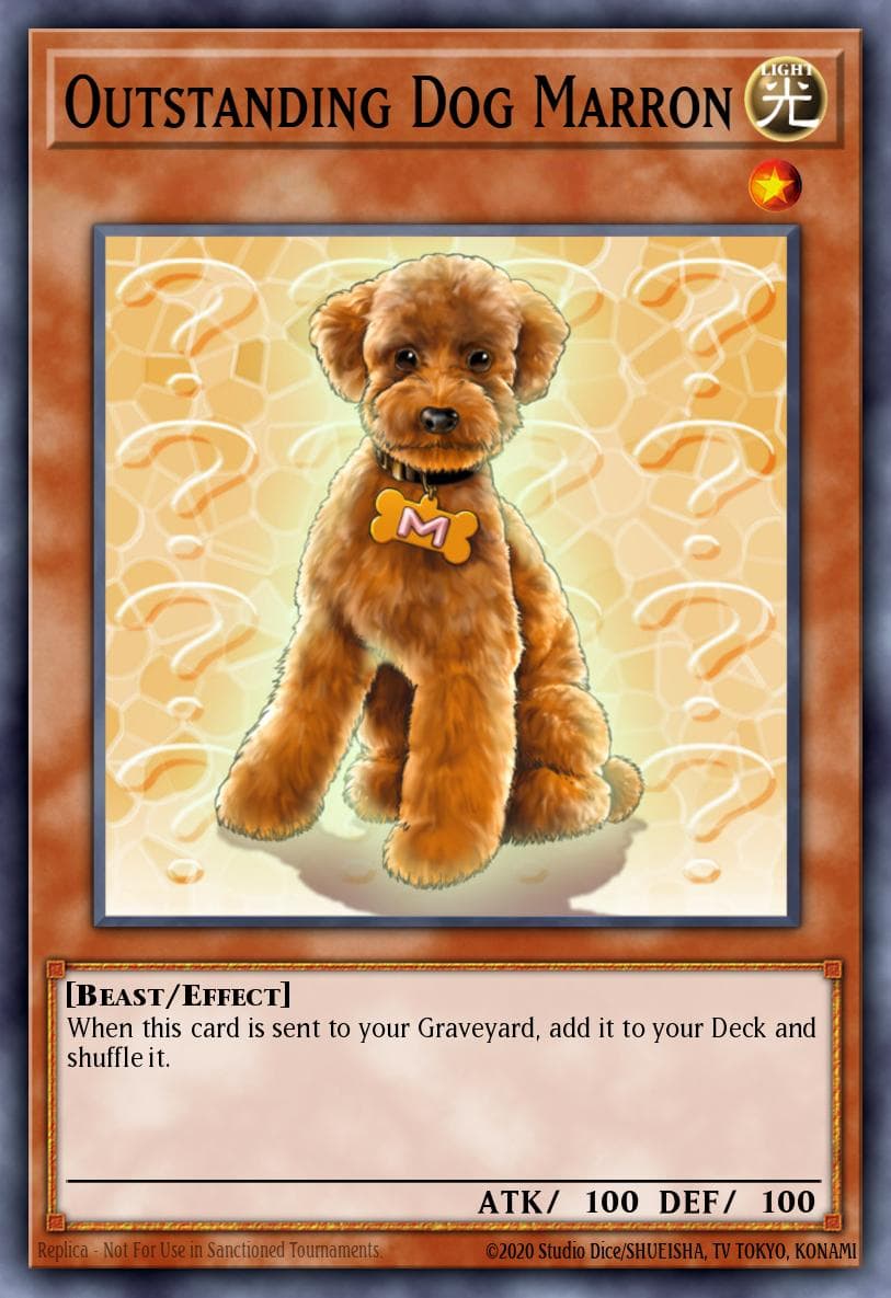 Outstanding Dog Marron Dark Revelation Volume 1 card