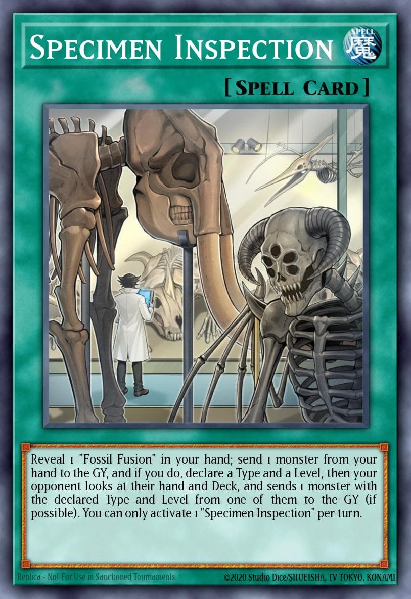 Specimen Inspection Battles of Legend: Chapter 1 card
