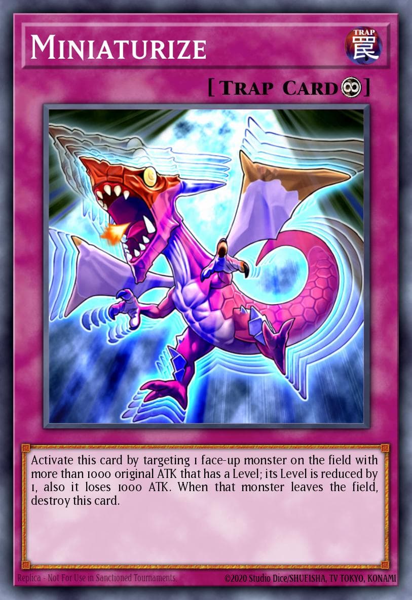 Miniaturize Starter Deck: Yu-Gi-Oh! 5D's 2009 card