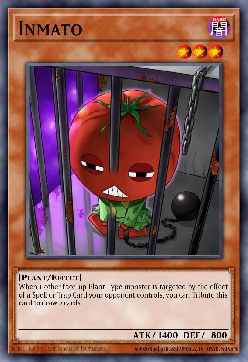 Inmato Duelist League 2 participation cards card